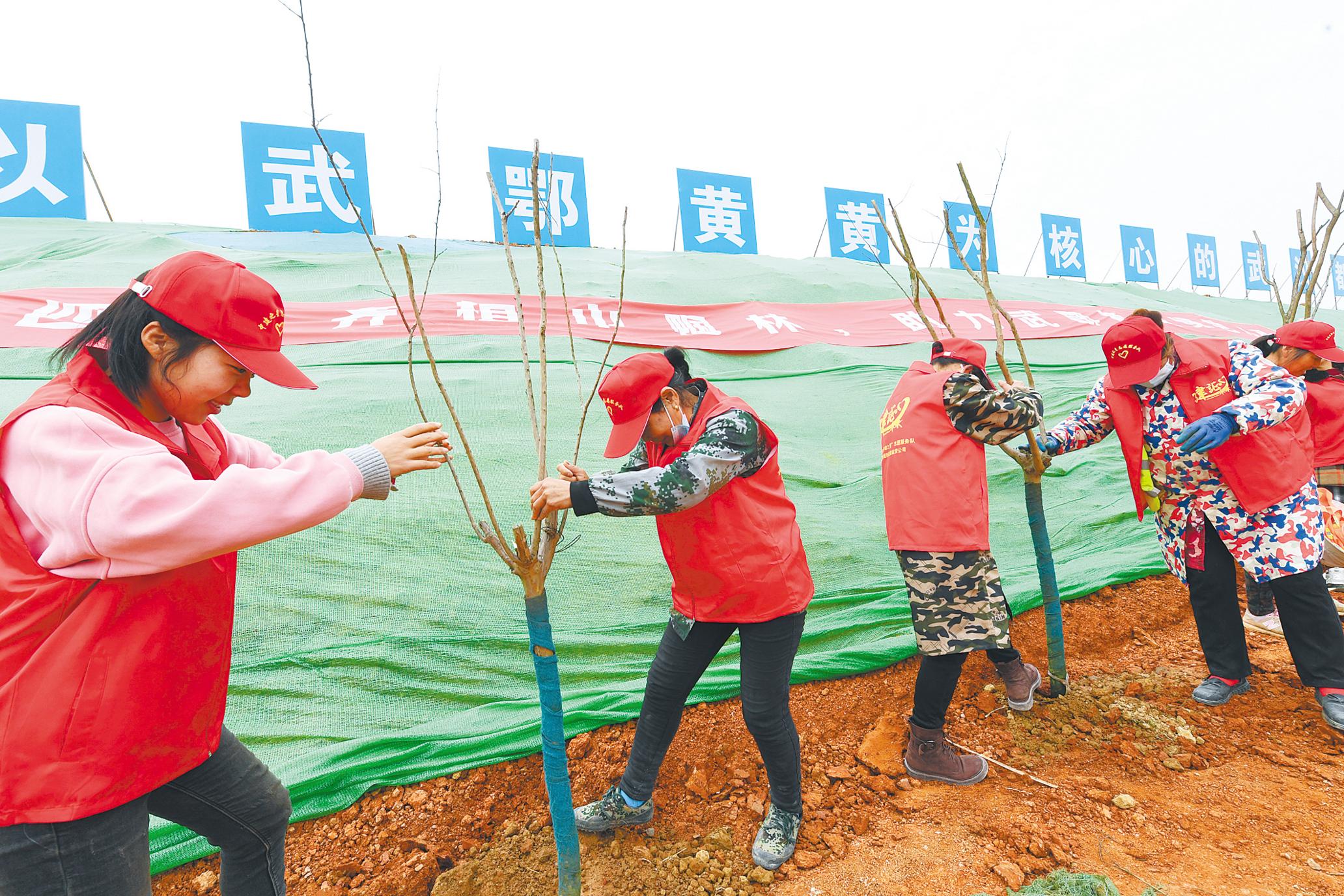 In pics National Tree Planting Day marked in Hubei The people's